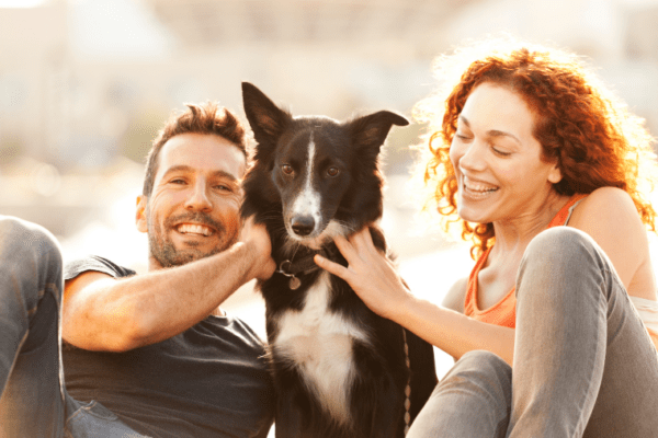 vacances avec un chien