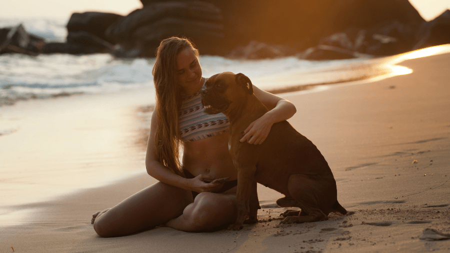 Les plages qui acceptent les chiens dans les régions de Murcie et d'Andalousie