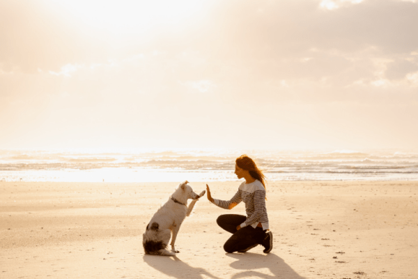 La baie de Somme avec un chien