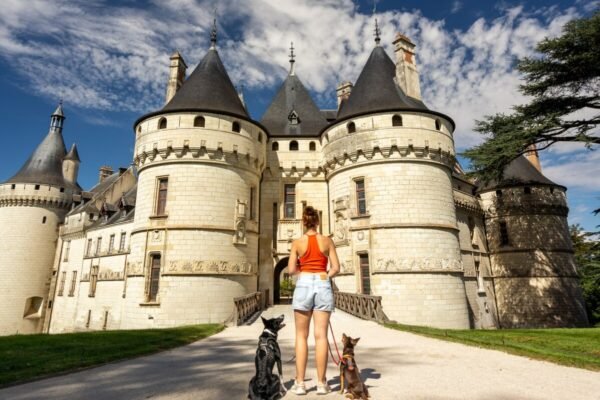 Les Châteaux de la Loire à visiter avec son chien