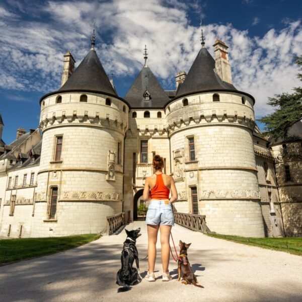 Château de Chaumont parc et jardins à visiter dans les châteaux de la Loire avec un chien en Centre-Val-de-Loire
