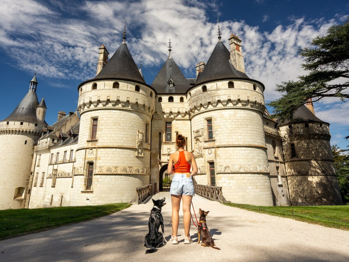Les Châteaux de la Loire à visiter avec son chien
