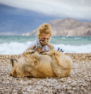 Going on vacation abroad with your dog in Greece and Italy