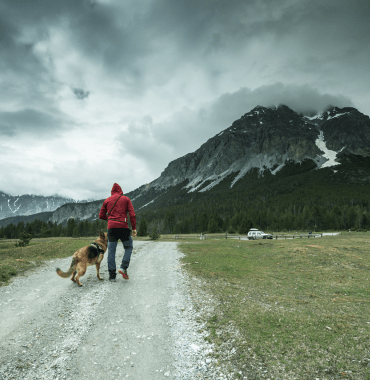 Viajando pela Suíça com seu cachorro