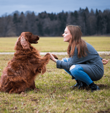 Machen Sie mit Ihrem Hund Urlaub in Slowenien