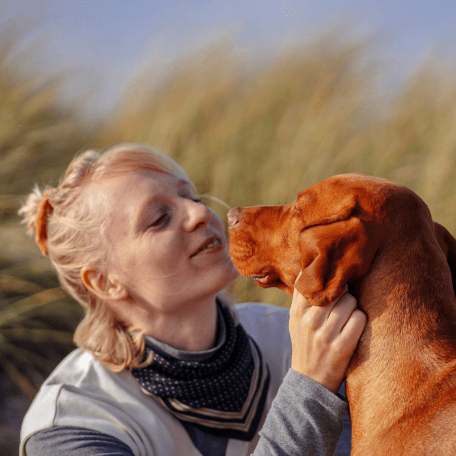 Entlaufener Hund, der einen Kuss zuwirft und ein GPS-Hundehalsband braucht