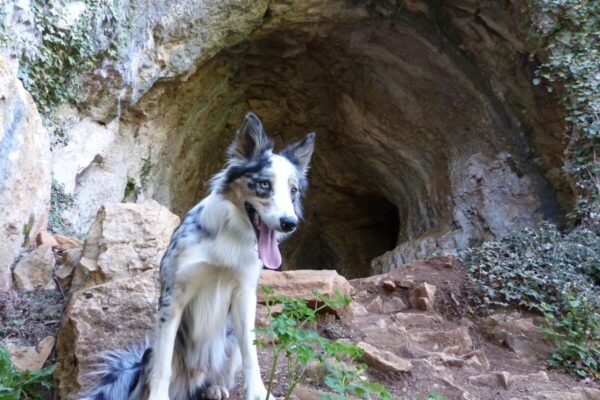 Grotte du Hibou