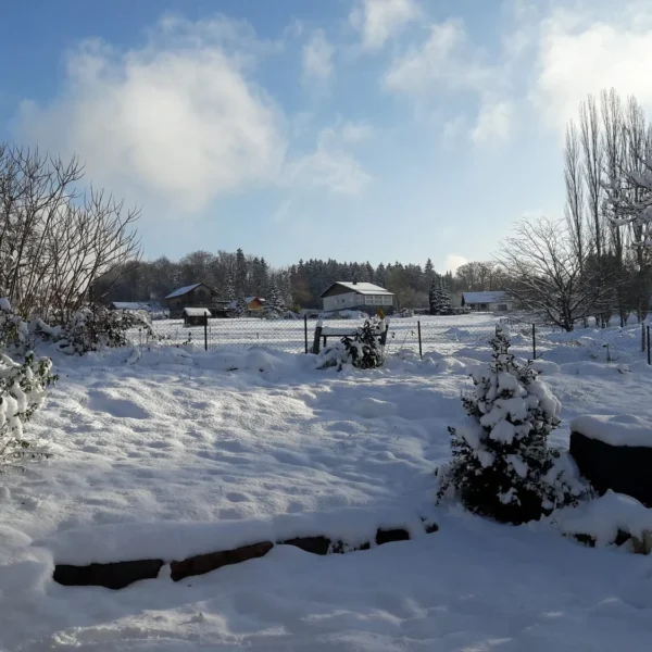 Jardin du Gîte Le Magnolia dans les Vosges à Puid en région Grand Est