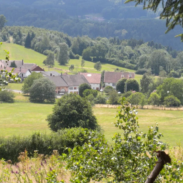 Vue depuis le Gîte Le Magnolia dans les Vosges à Puid en région Grand Est