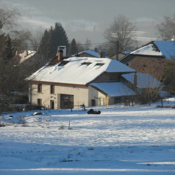 Gîte Le Magnolia dans les Vosges à Puid en région Grand Est