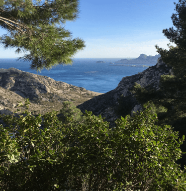 Calanque de Sugiton in Marseille - hiking with your dog