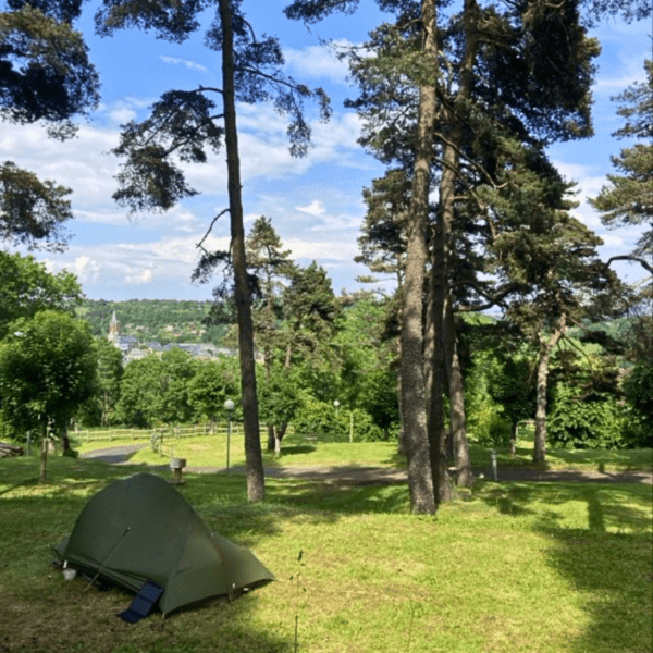Bewaldete Lage des Campingplatzes Serendipité