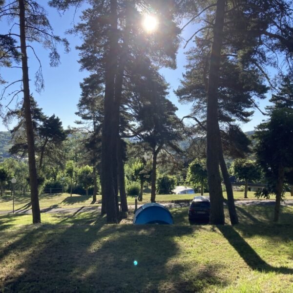 Ubicación boscosa del camping serendipité
