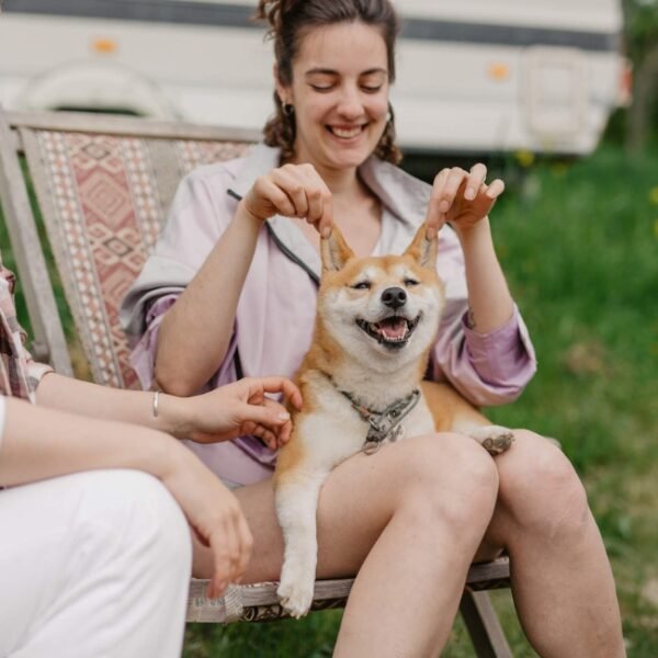 chien sur une chaise longue au camping les Tilleuls en baie de somme