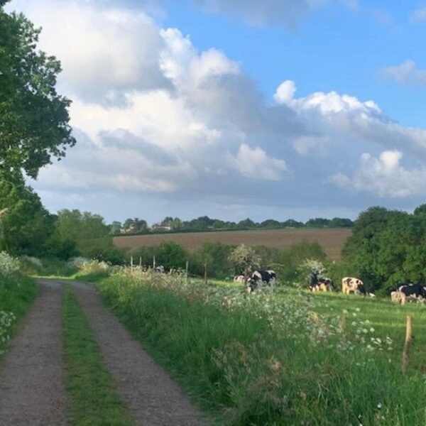 Nature autour des Ecogites de la Pierre le Matz dans les Pays de la Loire à Chauvé en Loire Atlantique