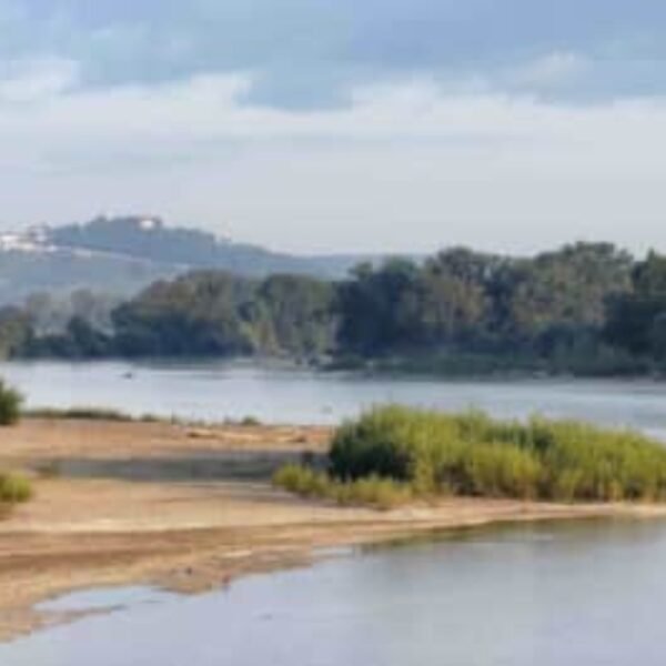 La Loire à proximité du Gîte Maison Fleuriet proche de Sancerre Sancerre en Berry dans le Centre Val de Loire dans le Cher
