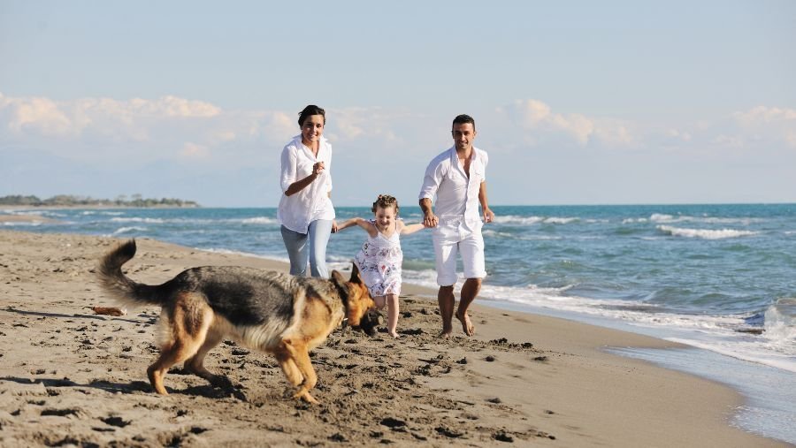 Famille qui joue sur une plage en Charente-Maritime avec un chien