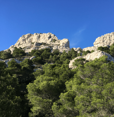 Ridge route between Cassis and La Ciotat perfect for hiking in the Calanques with your dog