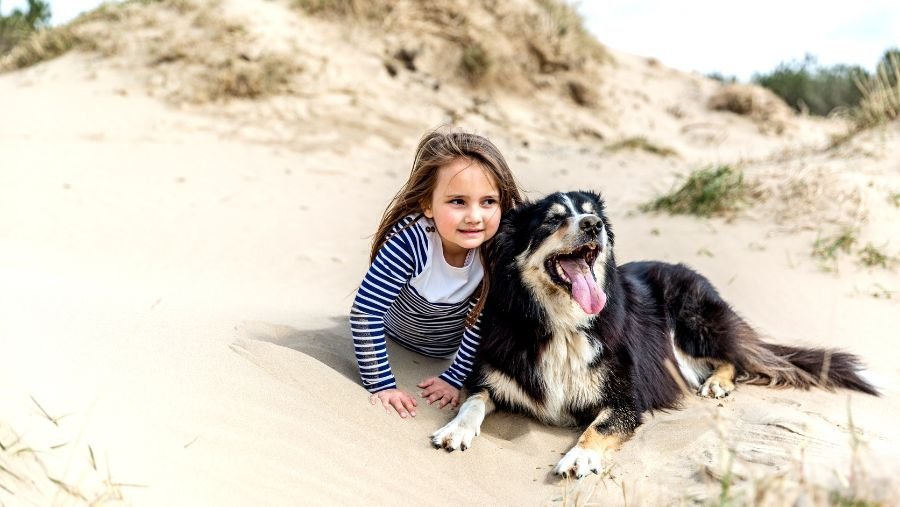 Petite fille avec chien sur plage Charente-Maritime