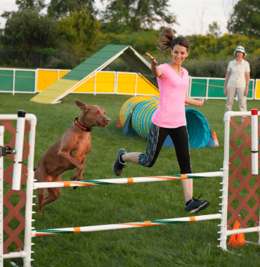 Une femme fait de l'agility avec son chien dans un parc canin à Valence en Espagne