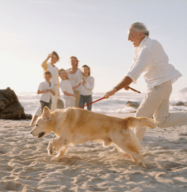 Los perros pueden ser prohibidos en las playas porque corren el riesgo de atropellar a personas y niños.