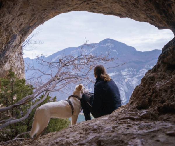 Parcourir la Drôme avec son chien