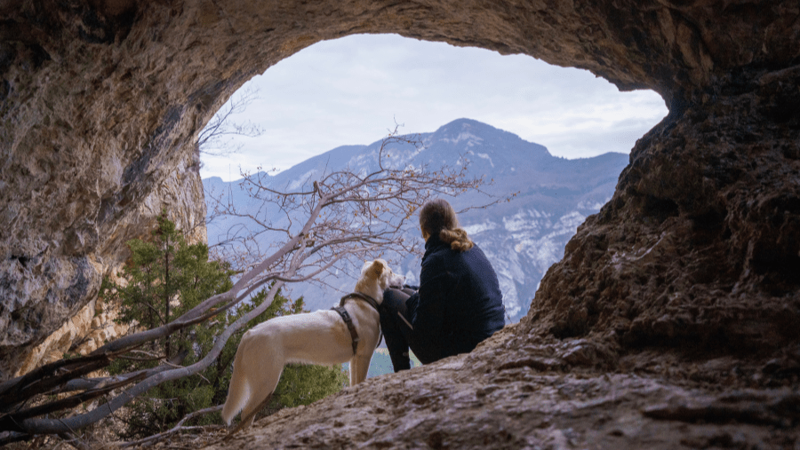Parcourir la Drôme avec son chien