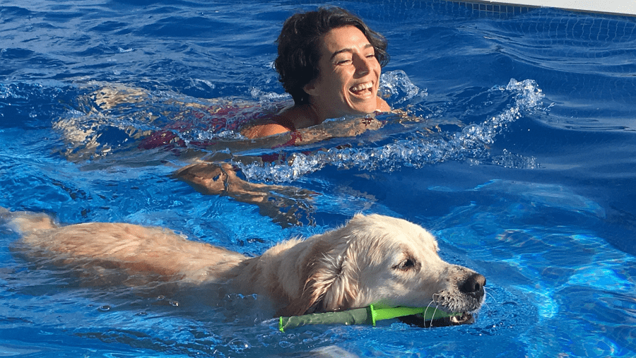 3 Schwimmbäder für Hunde in Frankreich