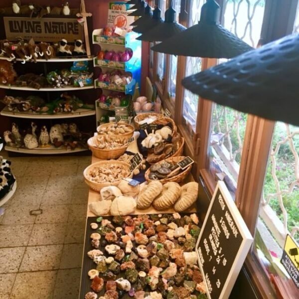 Boutique de minéraux à Aven Grotte Forestière en Ardèche proche de Pont saint Esprit