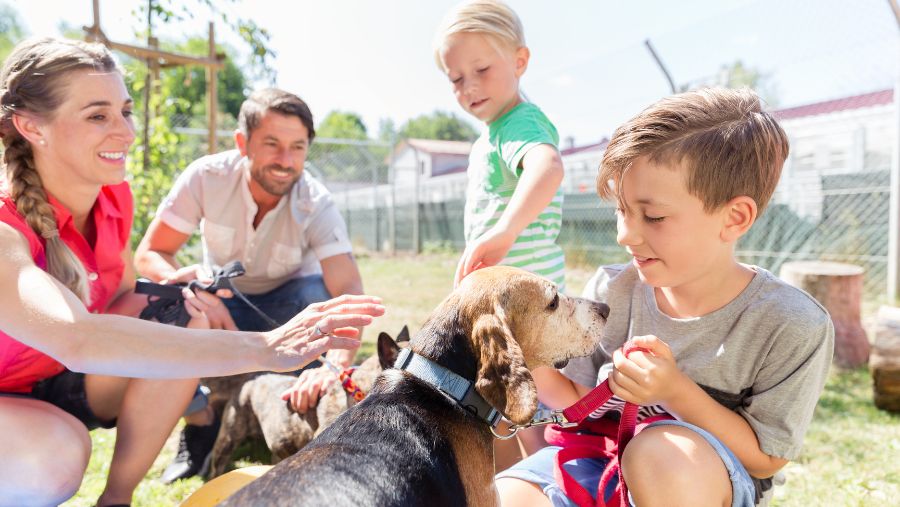 Famille Camping Siblu avec un chien