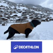 chien manteau hiver decathlon