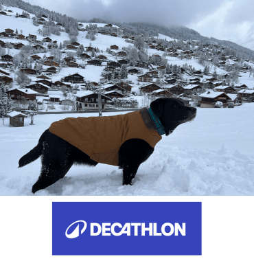 chien manteau hiver decathlon