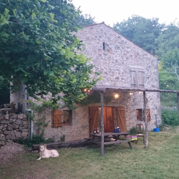 Gîte La Maison de Vigne dans l'Aveyron au cœur du Parc naturel des Grands Causses sur le Larzac près de Millau