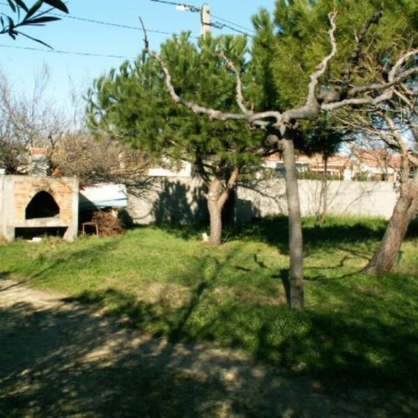 Jardin clos et arboré du Gîte La Golondrina dans l'Hérault à Frontignan Plage au bord de la Méditerranée