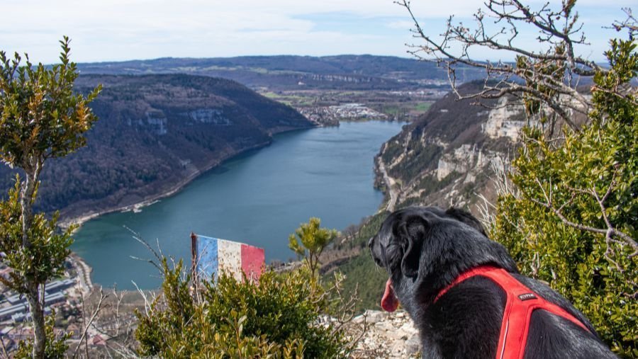 The Fècles tour - hikes to do with a dog