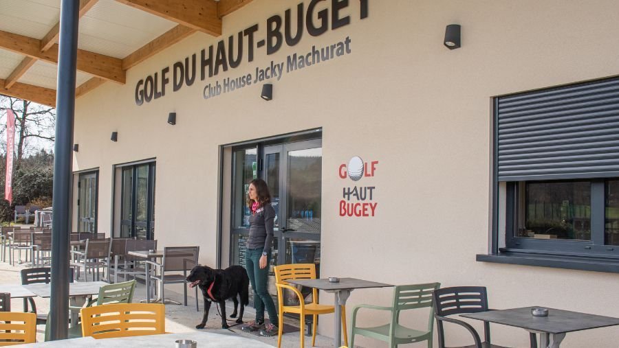 Haut Bugey golf course with a dog