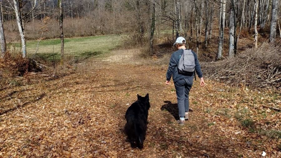 Hauteville plateau - hike to do with a dog