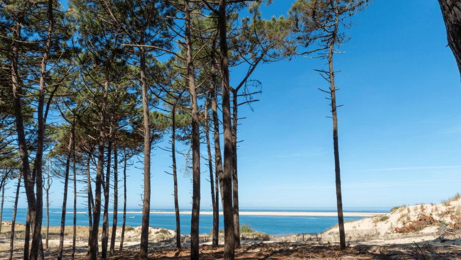 dune du pilat