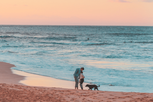 où aller a la plage dans les Landes avec son chien