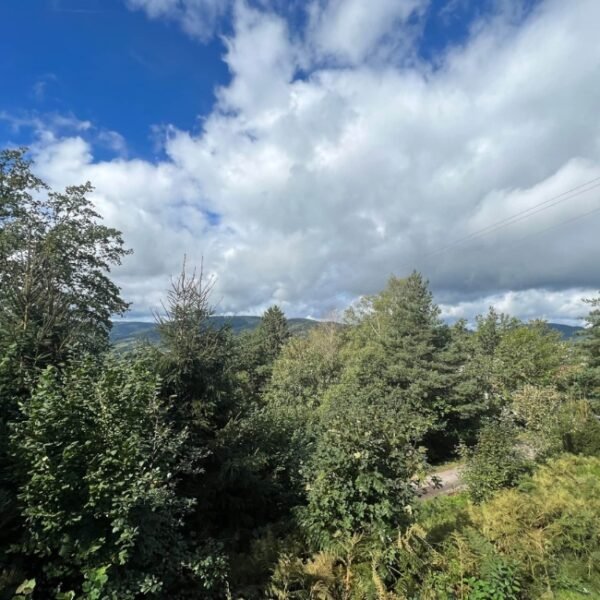 vue nature du chalet peyto dans les Vosges