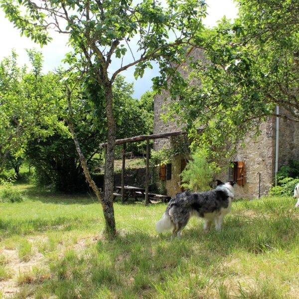 JArdin du Gîte La Maison de Vigne dans l'Aveyron au cœur du Parc naturel des Grands Causses sur le Larzac près de Millau