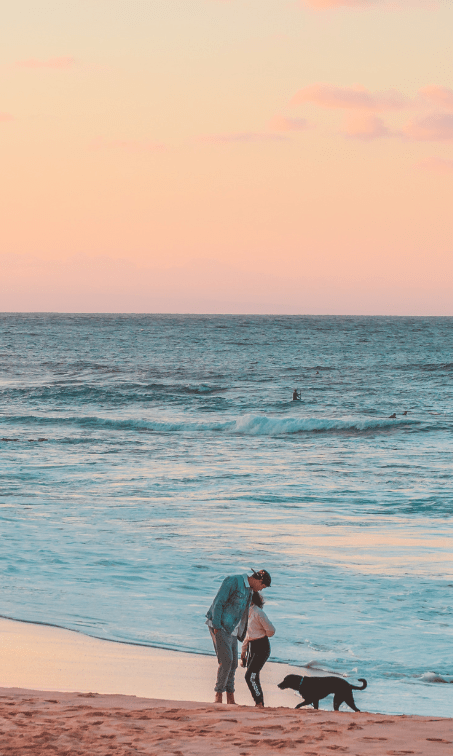 plage avec un chien