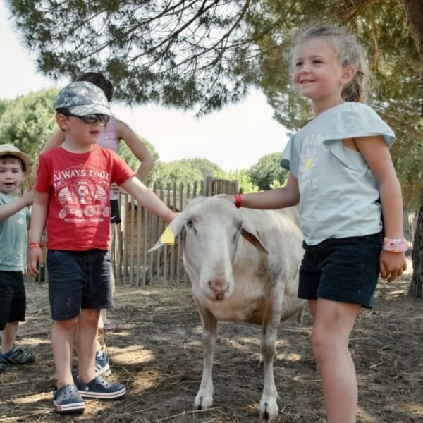 Enfants en vacances dans la mini ferme du Camping Sunelia Les Sablons dans l'Hérault à Portiragnes au bord de la Méditerranée en Occitanie