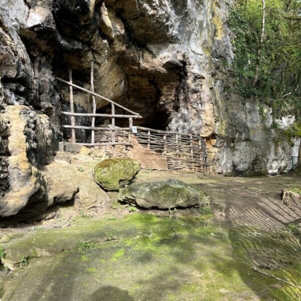 Le Conquil, Parc aux Dinosaures et Préhistobranche en Dordogne à Saint Léon sur Vézère