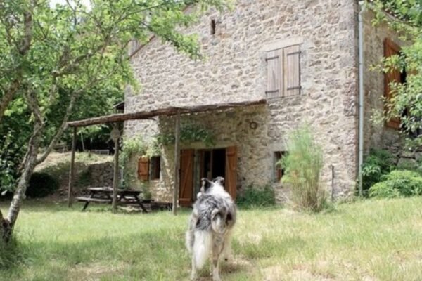 Gîte La Maison de Vignes