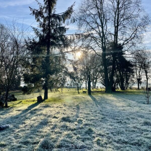 Jardin des Gîtes de la Marette en Bretagne près de Brocéliande dans les Cotes d'Armor