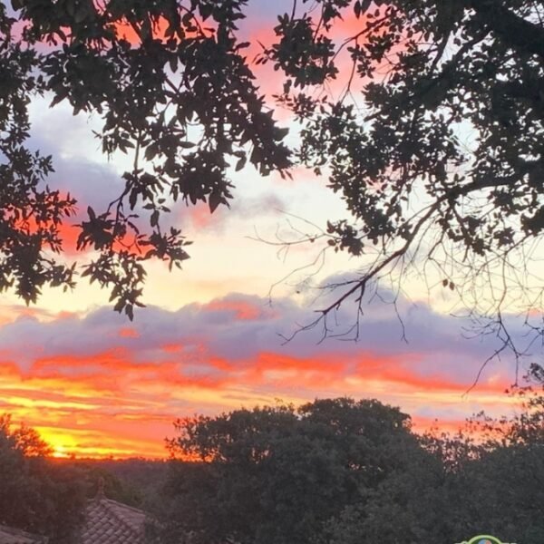 Couché de soleil sur la nature au Camping l'Oliveraie à Laurens près de Bédarieux dans l'Hérault et le Haut Languedoc