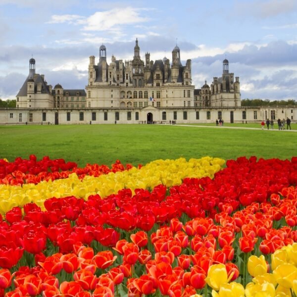 Château de la Loire à visiter proche du