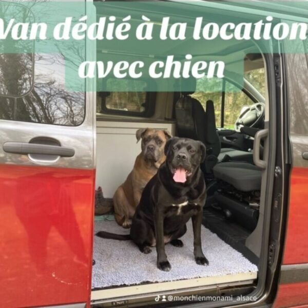 DoG'Vanly, Location Véhicule aménagé qui accepte les chiens dans le Haut Rhin en Alsace