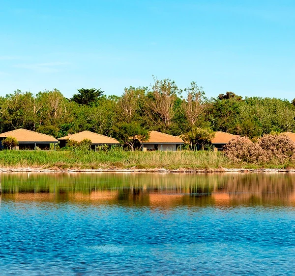 Les lodges au bords de l'étang du Camping Sunelia Les Sablons dans l'Hérault à Portiragnes au bord de la Méditerranée en Occitanie